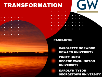 Flyer for Panel 